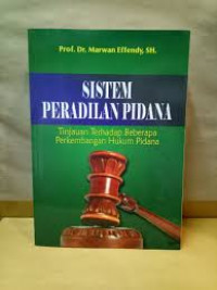 Sistem Peradilan Pidana : Tinjauan Terhadap Beberapa Perkembangan Hukum Pidana